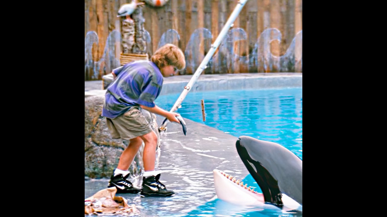 Free Willy (1993): Boy and Orca's Friendship 🐳