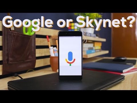 How much does Google know about you?