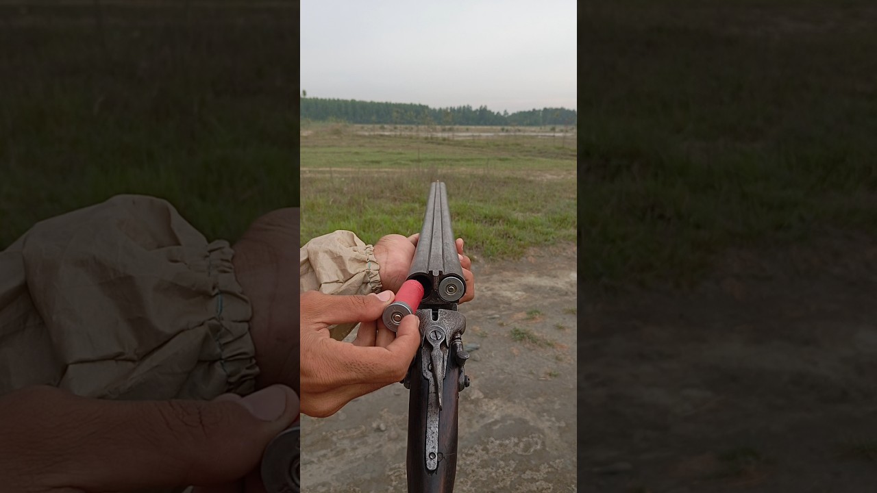 Top 12 Gauge Hunting Cartridges & Shotguns 🦆