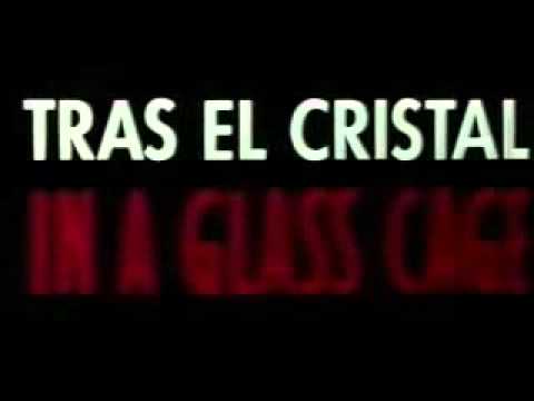 In a Glass Cage Trailer