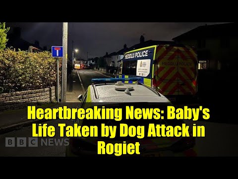 Heartbreaking News: Baby's Life Taken by Dog Attack in Rogiet
