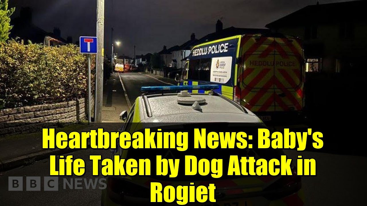 Tragic Loss: Baby Dies in Dog Attack in Rogiet 😢