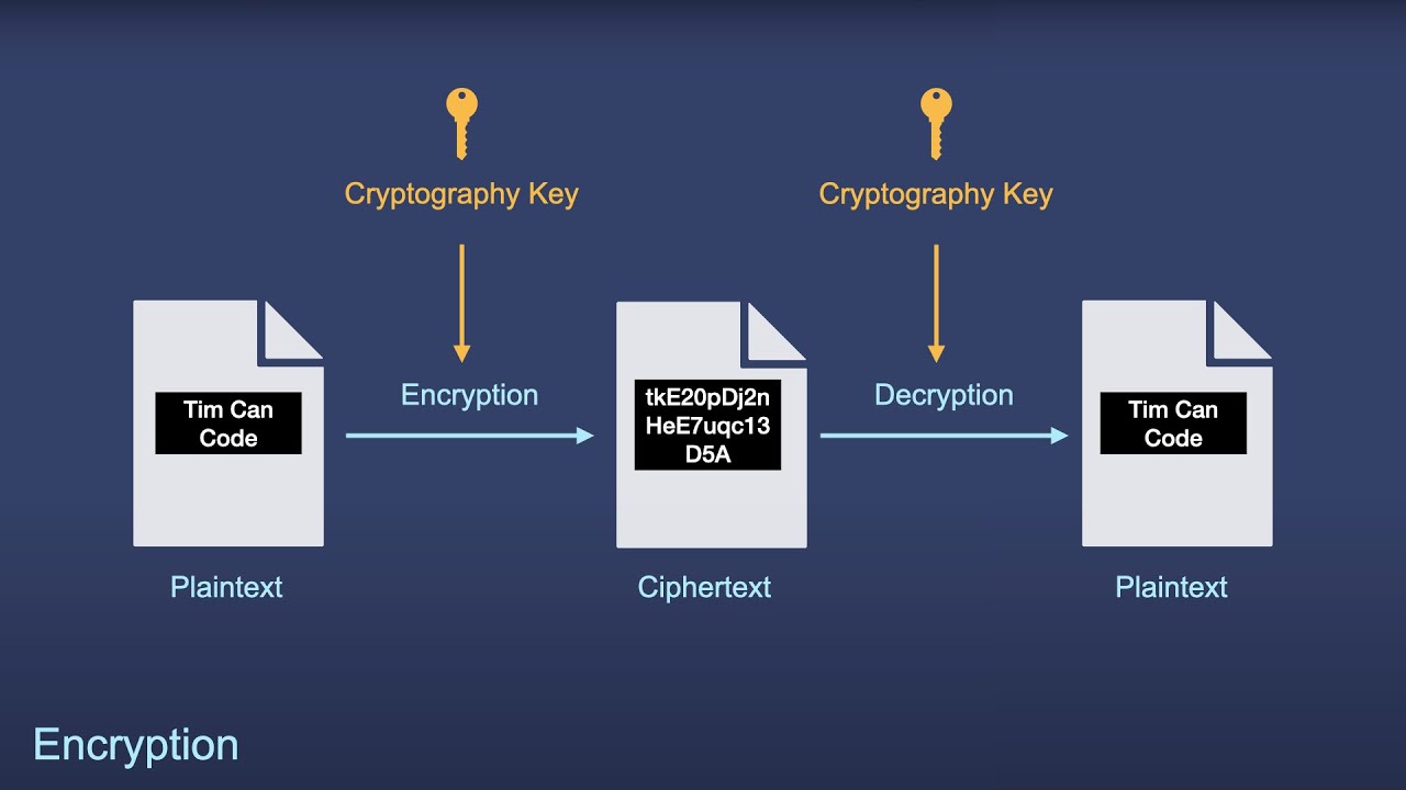 Understanding Encryption: A Beginner's Guide to AES, RSA, and More