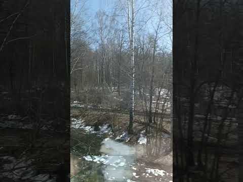 Прощальная #love #музыкаонлайн #песни #music #новаяпесня #песнипролюбовь #душевныепесни #хочуврек