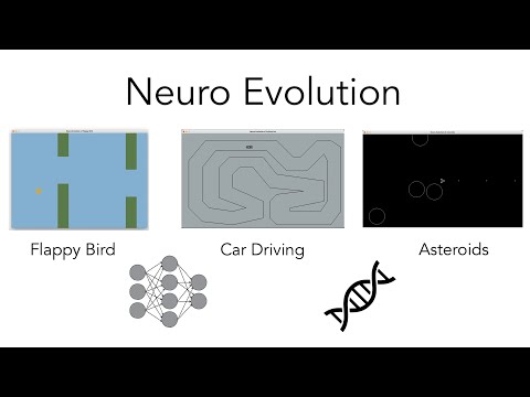 Neuro Evolution Project
