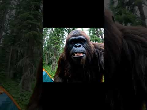 Bigfoot vlogs vlogging with yeti #bigfoot #yeti #ai #wildlife #camp #aivideo #forest