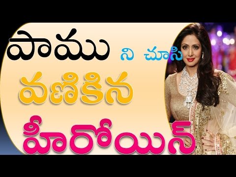 Sridevi's Snake Encounter in Kshana Kshanam 🐍