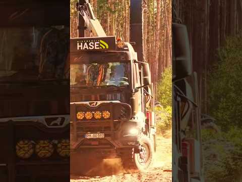 Hackschnitzel #hackschnitzel #farming #agriculture #landwirtschaft #lpgostharz #fyag #man #jenz