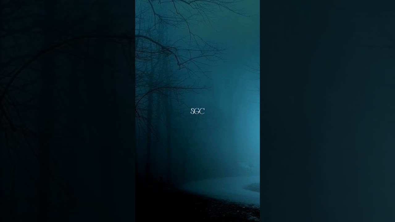 xcho - ты и я (speed up + echo REMIX)