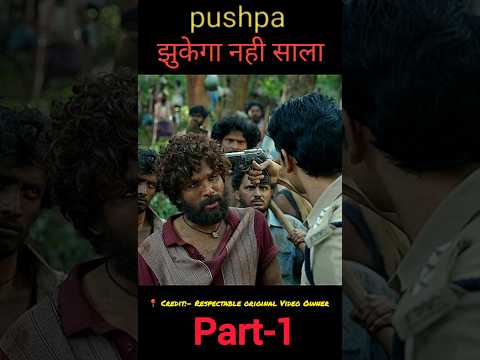 Pushpa Full Movie Explained in hindi | Hindi Dubbed #part1 #shortsfeed #ytshorts #explain