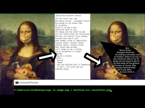 Steganography (hiding text in images)