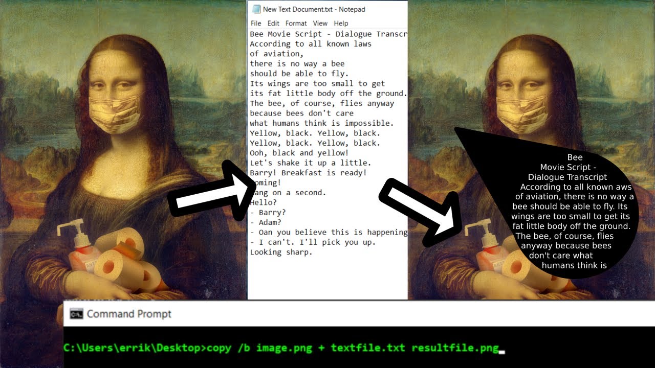 Master Steganography: Hide Text in Images with This Easy Program ๐ผ๏ธ