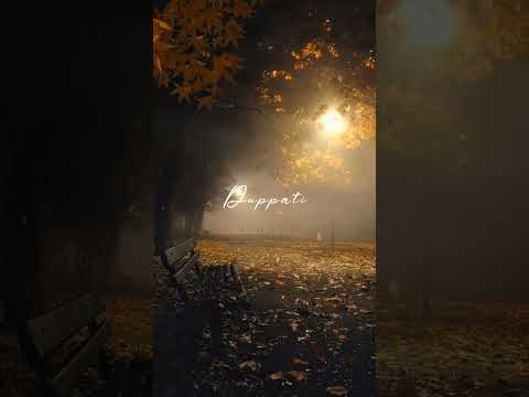 Peniviti Song Lyrics from Aravindha Sametha Veera Raghava song lyrics in Telugu by VS EDIT'S S.S.K.V