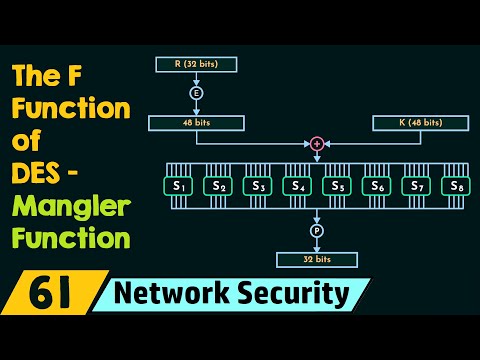 The F Function of DES (Mangler Function)