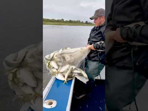 How to PERFECTLY throw a cast net #pennfishing #saltwaterfishing #castnetfishing