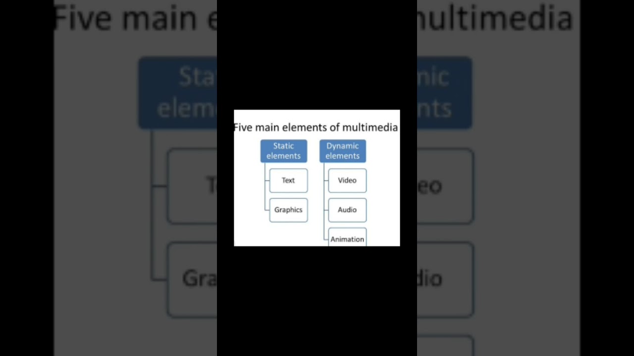 Mastering Multimedia Concepts for Computer Science Exams 📚