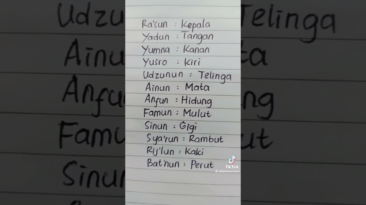 Bahasa Arab: Nama-Nama Tubuh π§ββοΈ