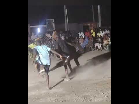 Nubians’ Karang Dance – Traditional African Cultural Performance#viral #viralvideo #video #vlog