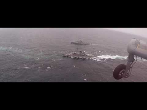 Dynamic Mongoose 2017 Trailer