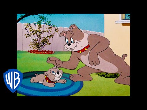 Tom & Jerry: The Classic Father & Son Duo Compilation | WB Kids