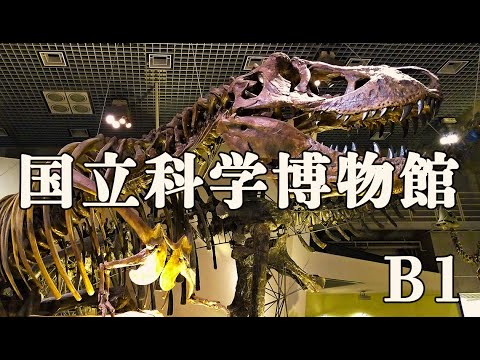 国立科学博物館の目的地!!大迫力の恐竜ゾーンに行ってきた!【国立科学博物館】