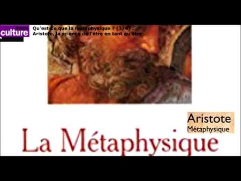 Qu’est-ce que la métaphysique ? (1/4) : Aristote et l’être
