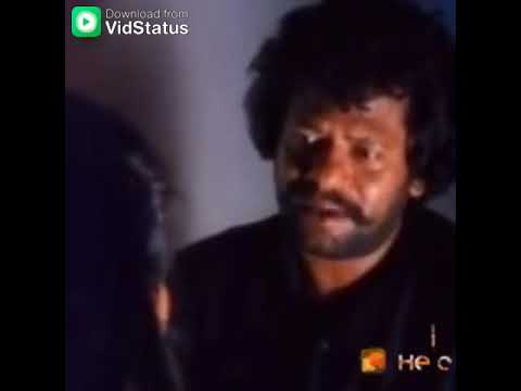 Husband & Wife WhatsApp Status Videos