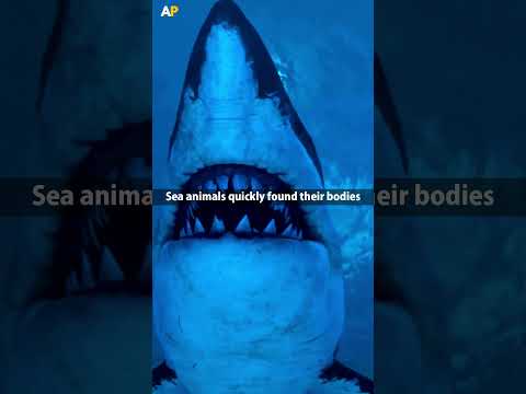 Dead Bodies Of Titanic