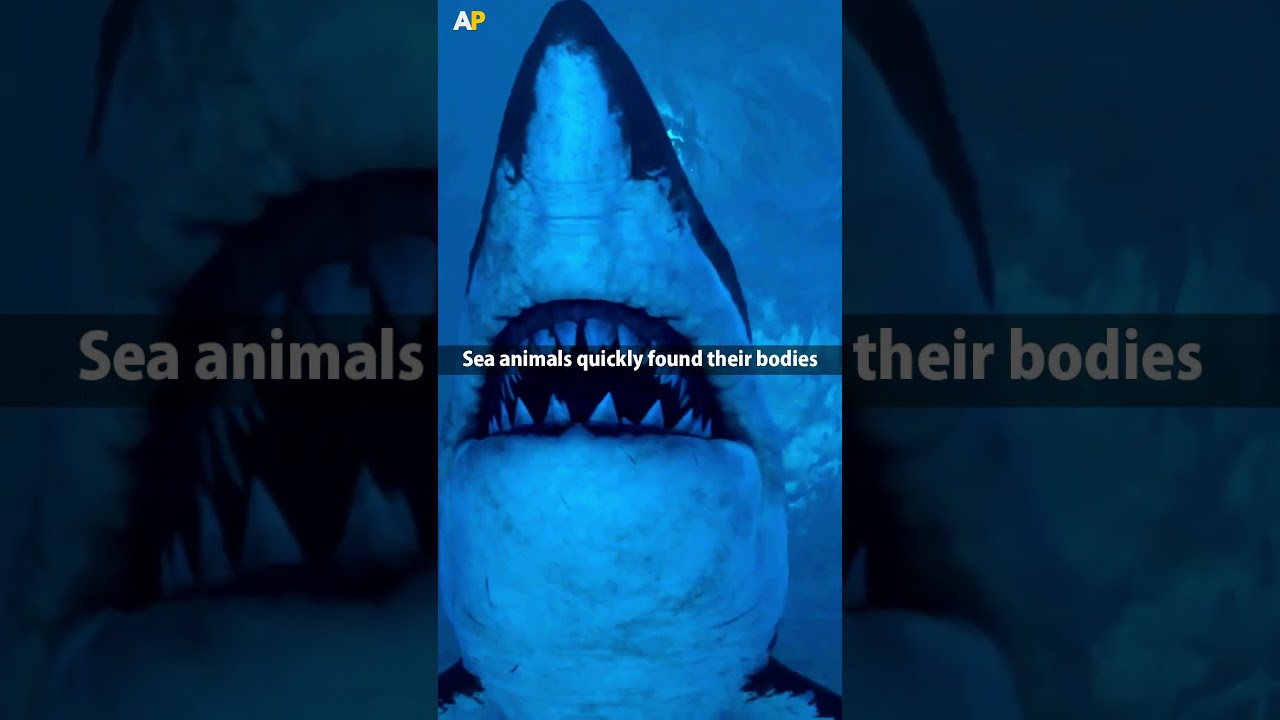 Why Were Many Titanic Passengers Never Found? π’