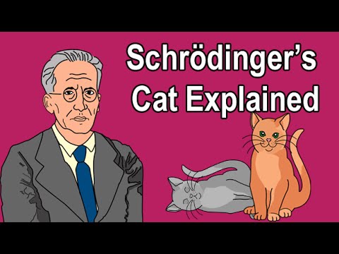 Schrödinger's Cat Explained 🐱