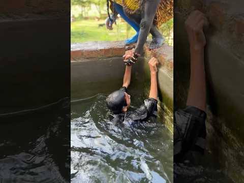 Morya re song❤️🙏 #bholenath #mahadev #shreeram #shorts #hanuman #ketul #trending #song