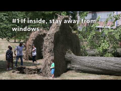 What to do during a severe thunderstorm warning