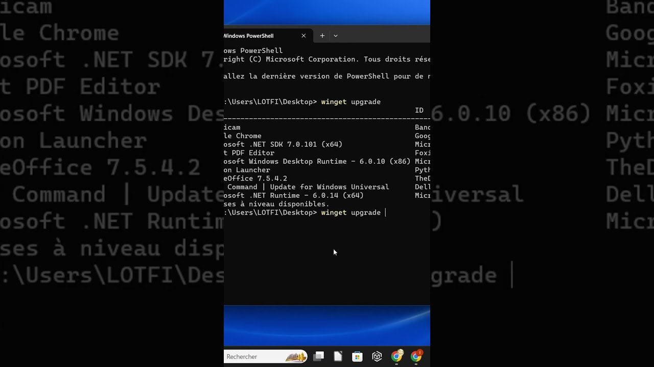 Comprehensive Guide to Updating Your Computer Software