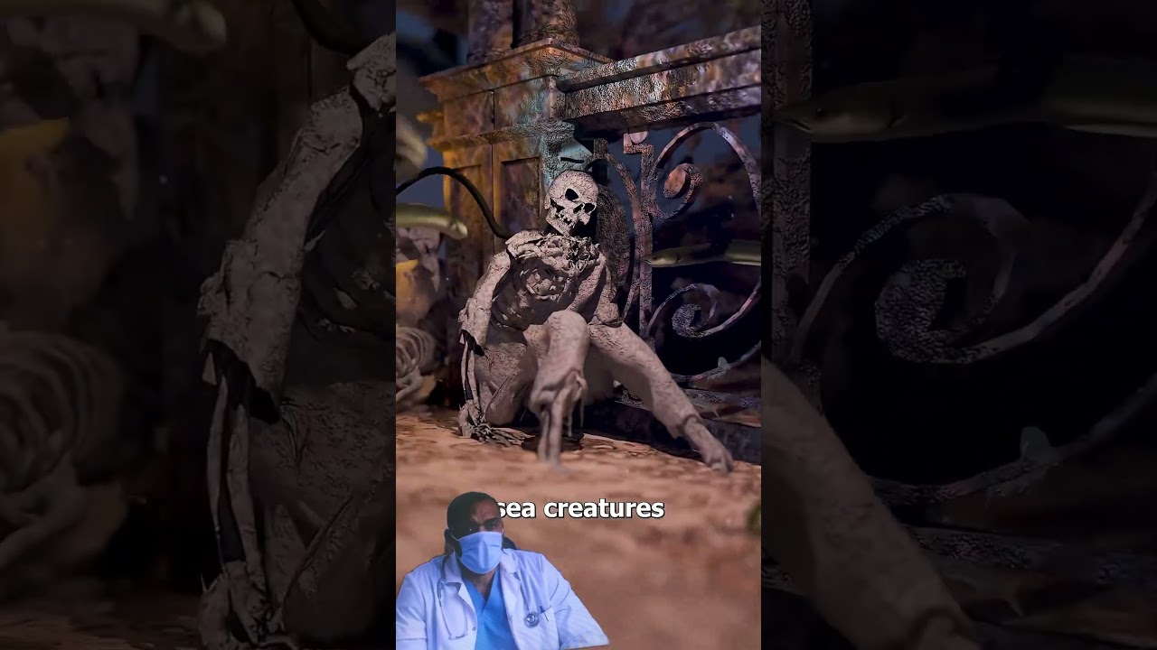 Are There Still Bodies in the Titanic Wreck? 🛳️ Unveiling the Secrets of the Deep