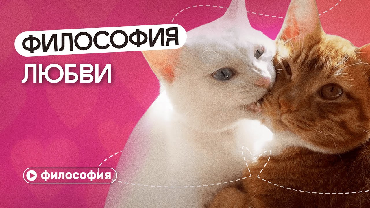 Современные философы о любви 💖