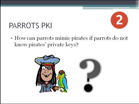PARROTS PKI: Cryptographic Messaging for VANET Privacy Model