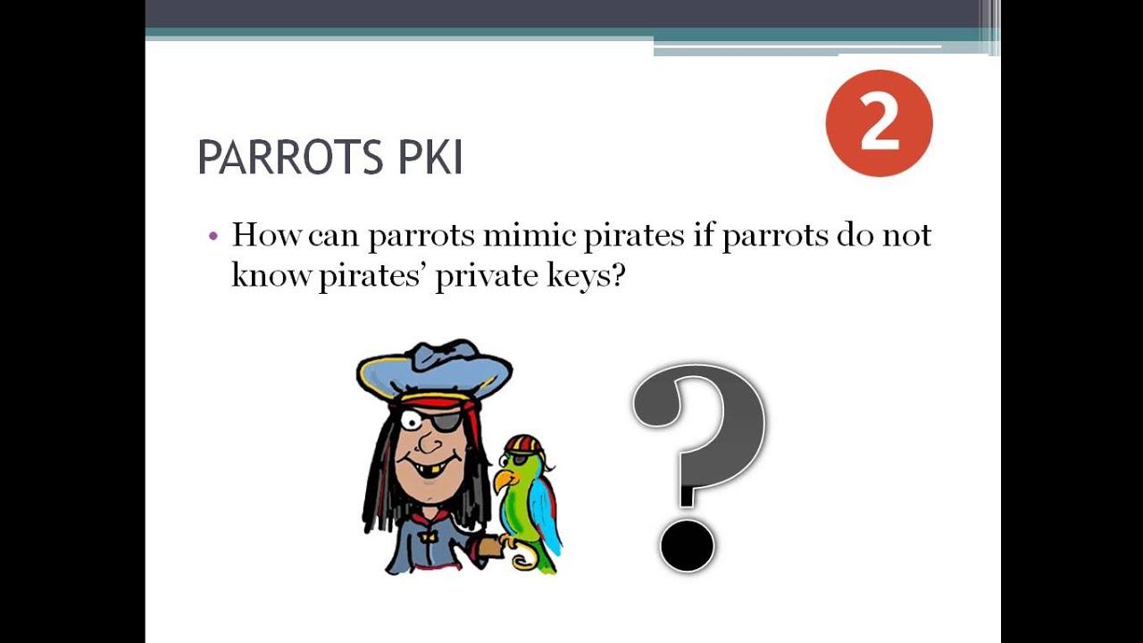 PARROTS PKI: Enhancing Privacy & Security in VANET Communications 🛡️
