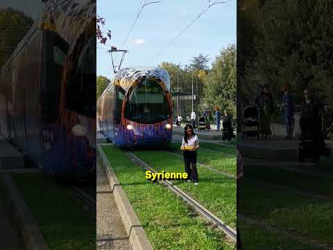 LE TRAM A LYON C’EST CHAUD 😡 #lyon lyon #restolyon #halal #sandwich #poulet #resto #lyonhalal