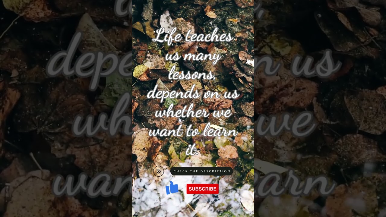 Ready to Learn? | Impulsive Vibes 📚