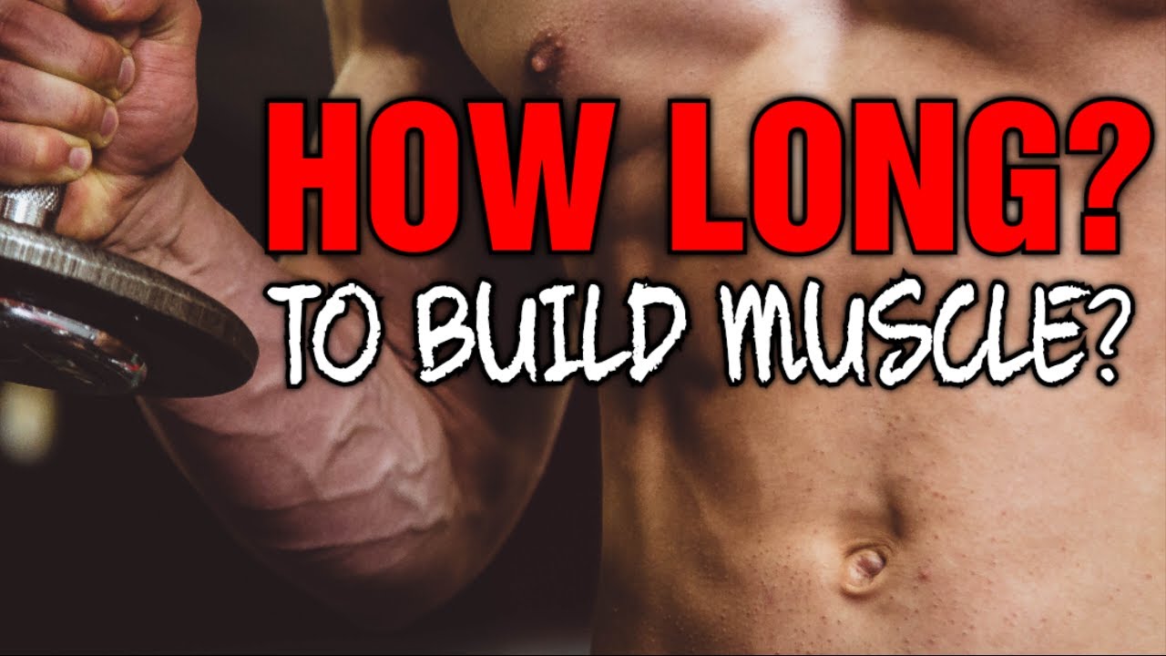 Muscle Building Timeline: How Long Does It Take? 🏋️‍♂️