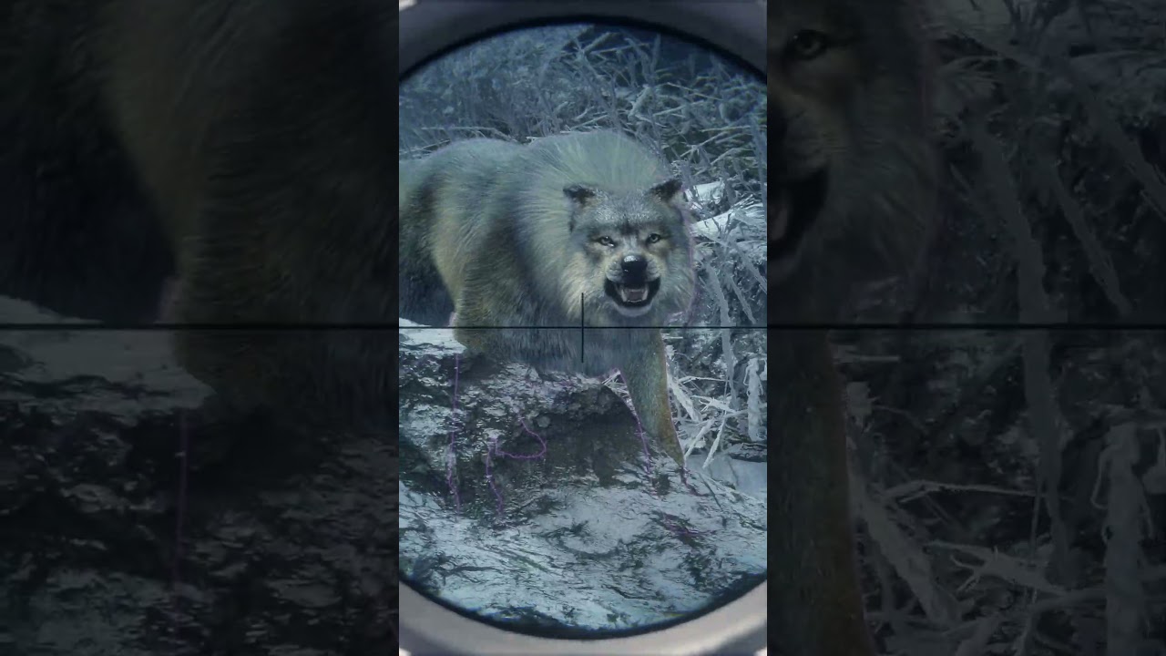 Wolves Tried to Eat Me in theHunter 🐺