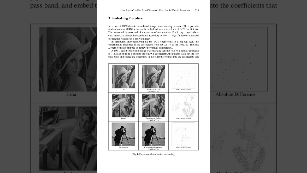 Robustness in Watermarking and Steganography