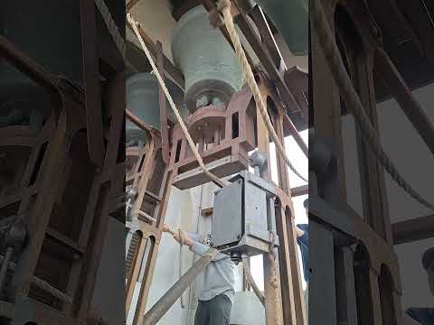 Good post-war #bells at the Church of the Holy Trinity in #bologna #bellringing #shorts #viral