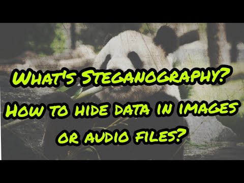 What is Steganography ? | How to use it in Kali Linux ?