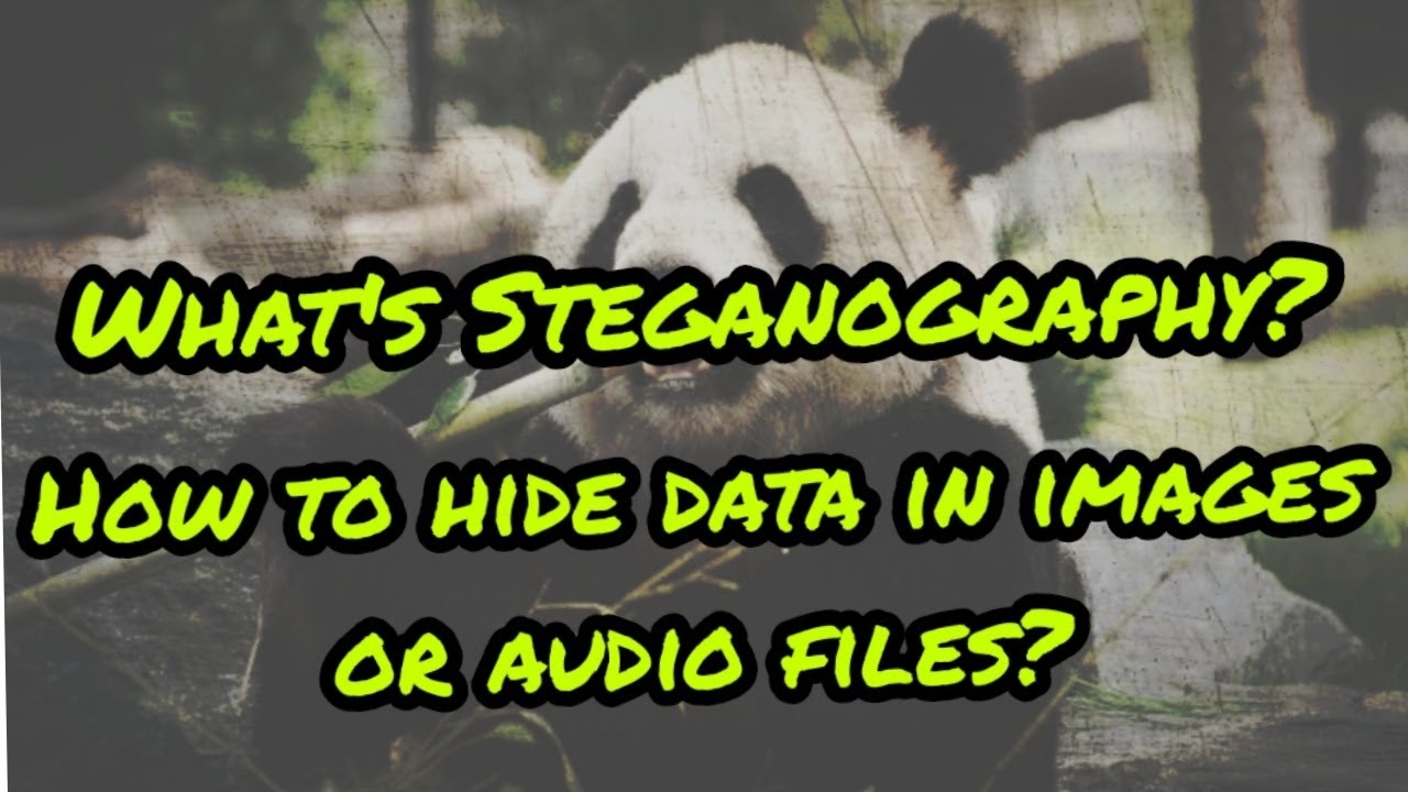 Steganography Explained: How to Hide Data in Files Using Kali Linux 🔐