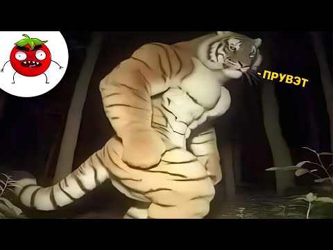 ЗАСМЕЯЛСЯ ПОДПИСАЛСЯ | Тест на Психику Челендж | ЛУЧШИЕ ПРИКОЛЫ 2025 года | УГАР #151