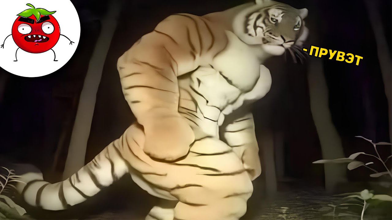 Засмеялся и подписался! 🤣 Тест на психику и лучшие приколы 2025 | Угар #151