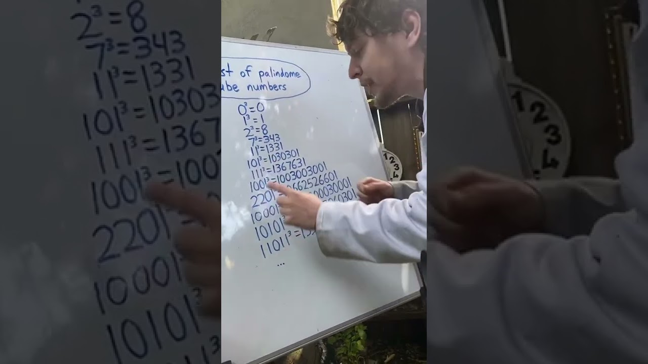 Unexpected Glitch in Cubic Palindrome Numbers #shorts