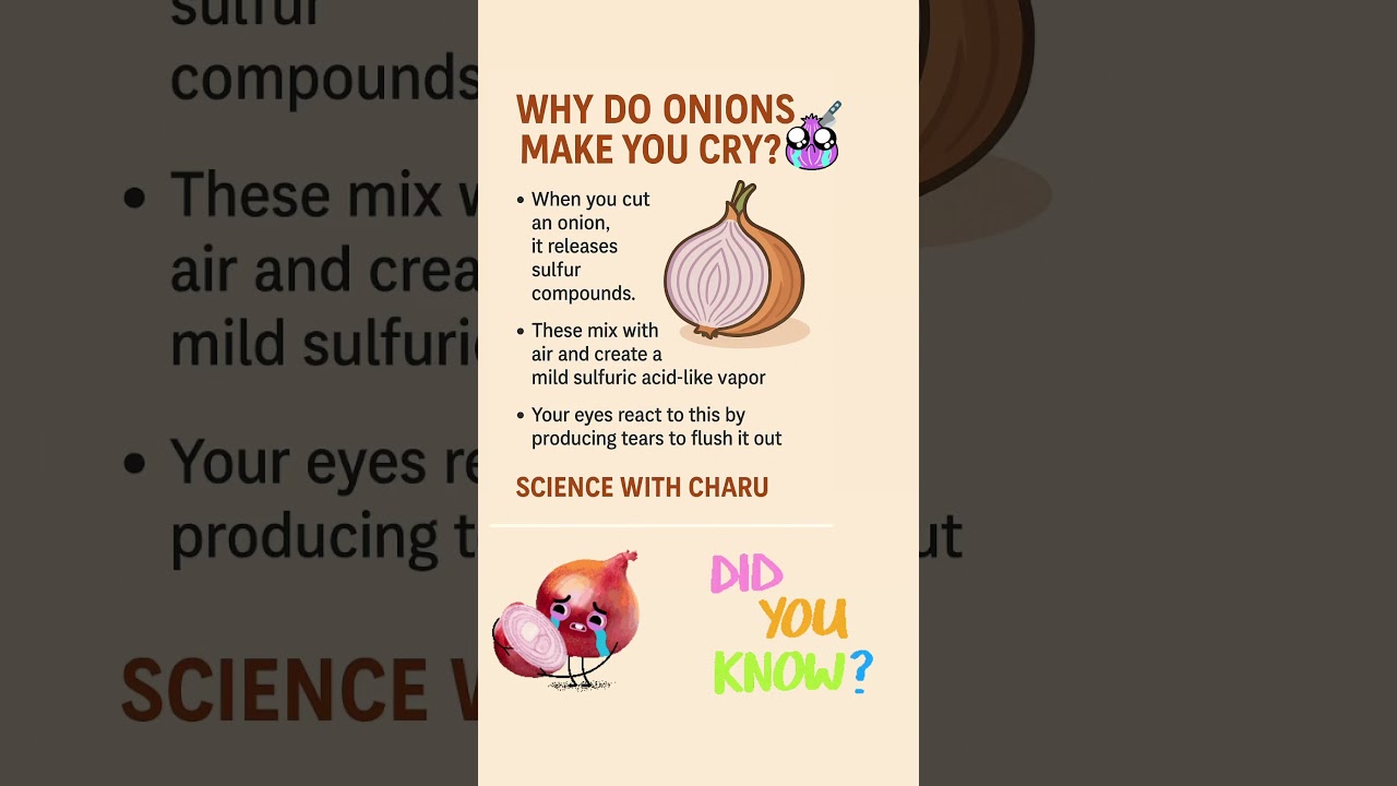 #sciencefacts #food #scienceshorts #science #sciencewithfun #scienceeducation #sciencewithcharu