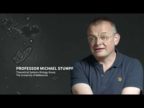 Mathematical Biology - Michael Stumpf